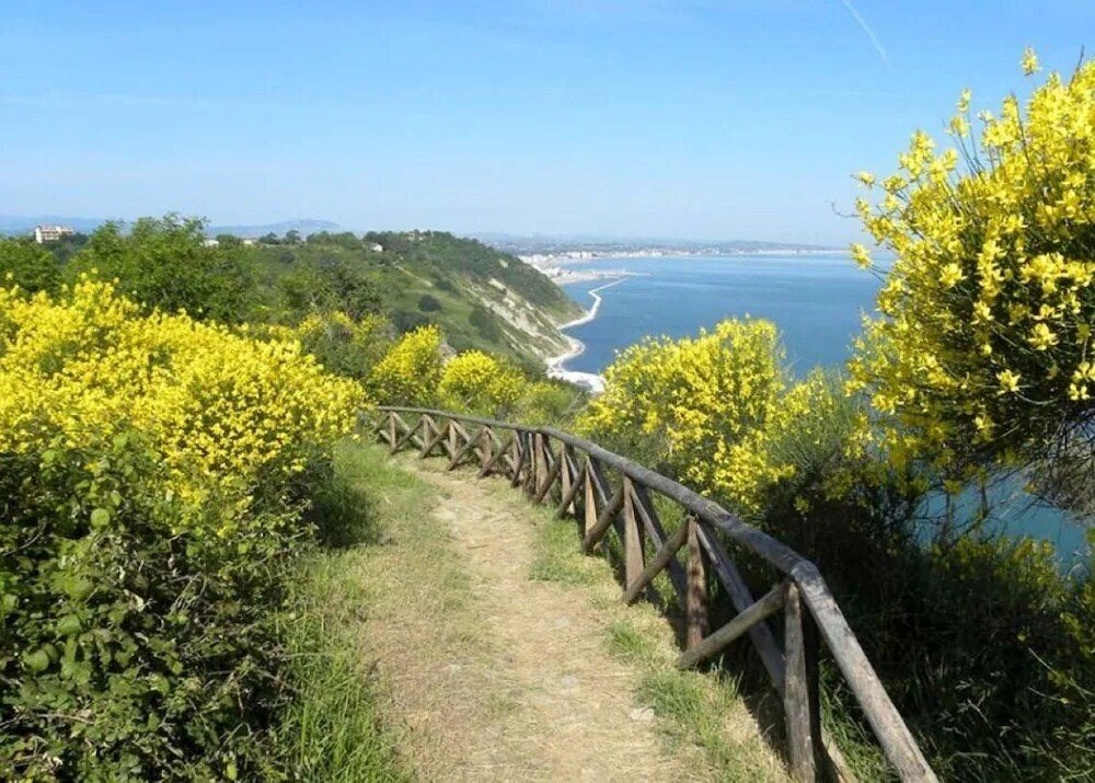 Изображение Capo Est 4*